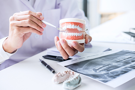 The image shows a dental professional holding a model of a human mouth with teeth and gums, examining it closely, while sitting at a desk with various dental instruments and equipment around.