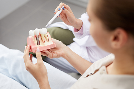 Woman holding tooth model while seated in dental office.
